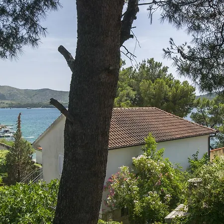 In The Shadow Apartament *