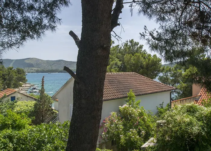 In The Shadow Apartman *